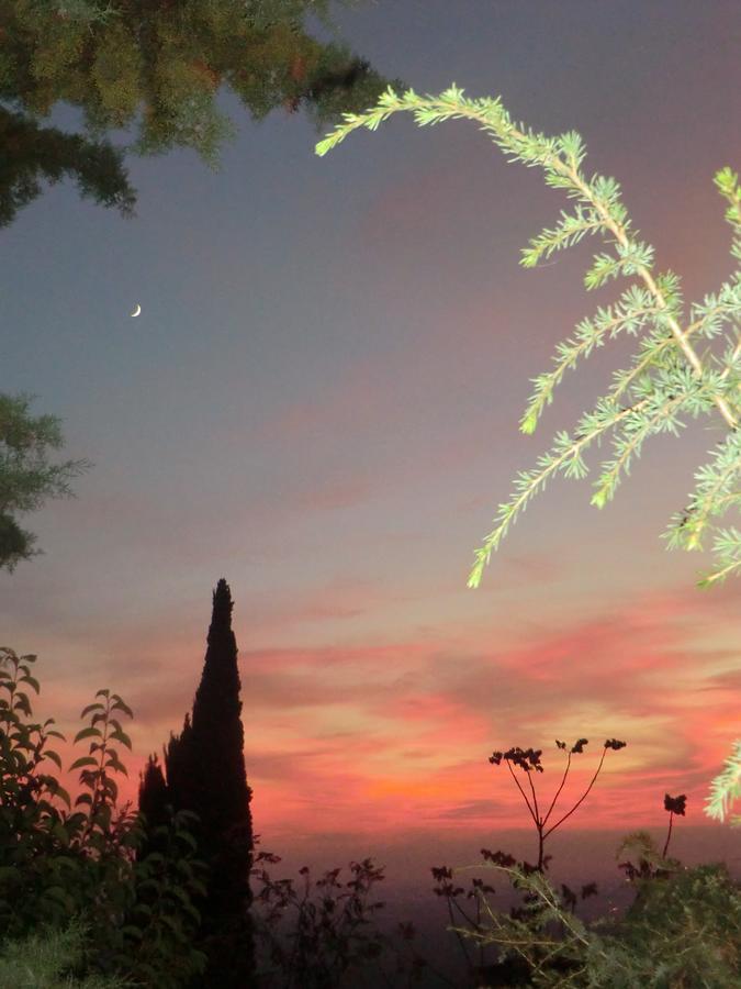 Il Giardino Di Alisa Bed & Breakfast Tivoli Luaran gambar